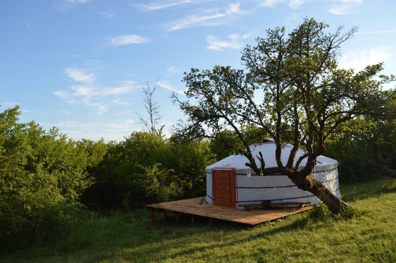 Camping V Raji - Palda Rovensko pod Troskami 外观 照片